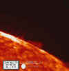 wpe6.jpg (14334 byte)
